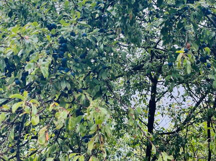 22-09-10 17-07-38 1948